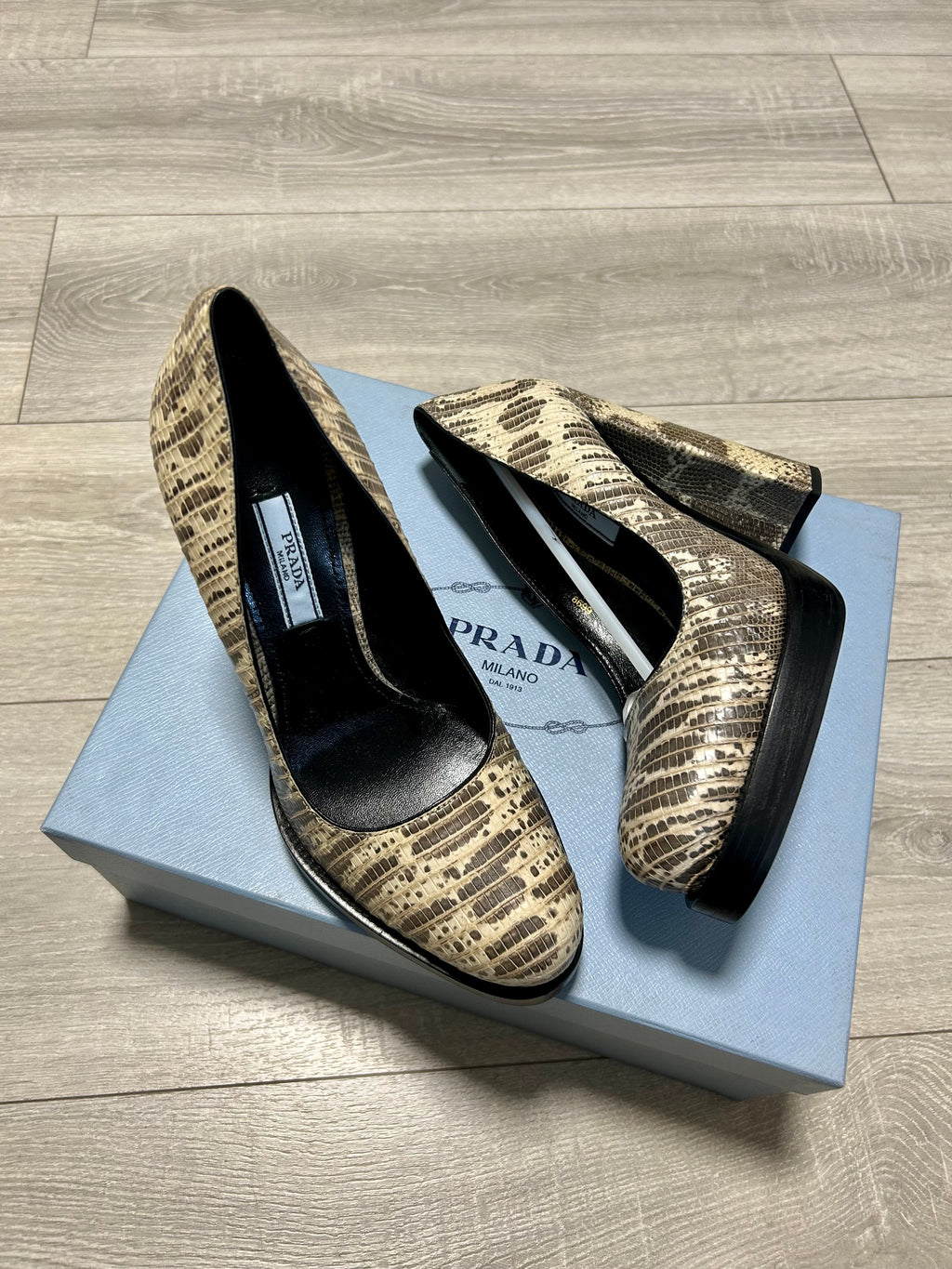 Prada Pumps Plateau Tacco Quadrato Stampa Lucertola Art.11155G