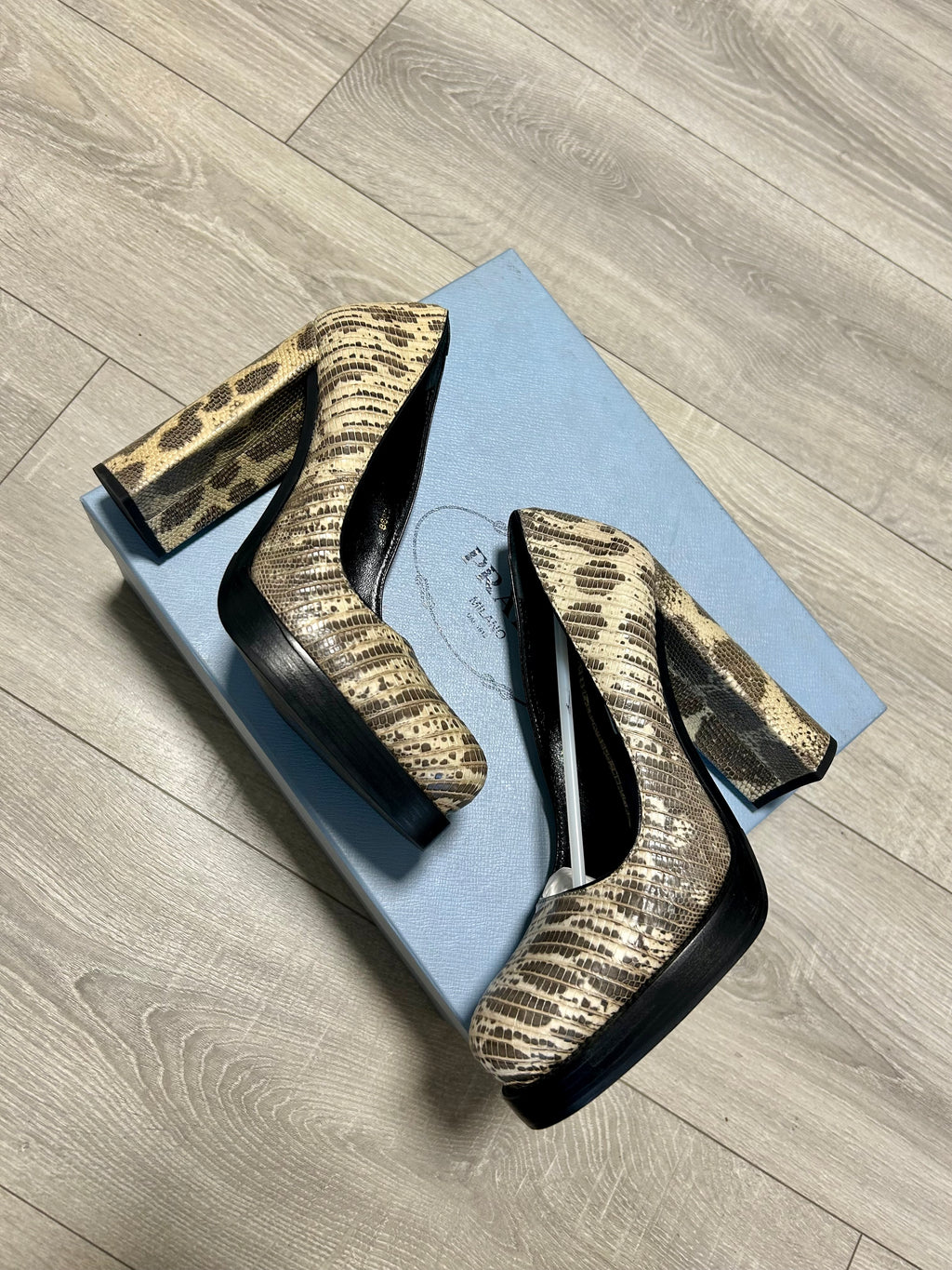 Prada Pumps Plateau Tacco Quadrato Stampa Lucertola Art.11155G