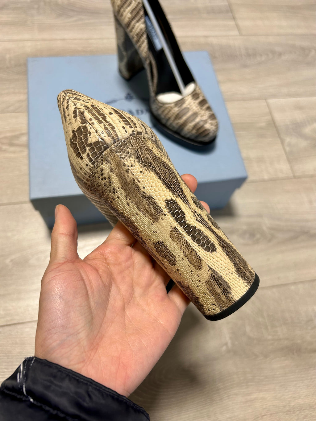 Prada Pumps Plateau Tacco Quadrato Stampa Lucertola Art.11155G