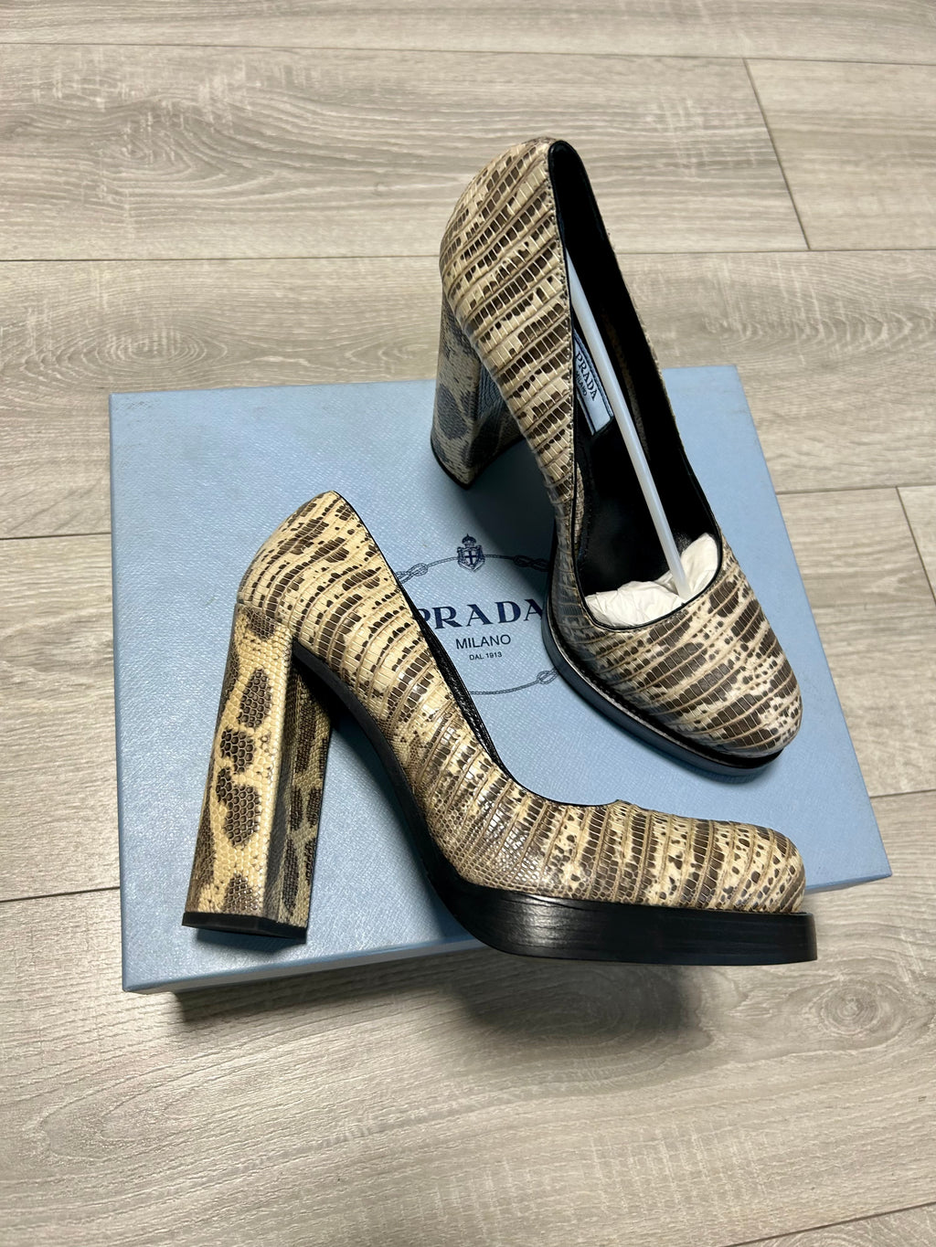 Prada Pumps Plateau Tacco Quadrato Stampa Lucertola Art.11155G